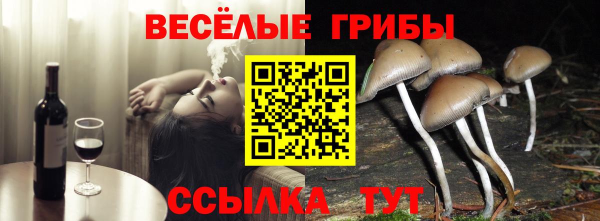Тосно  Галлюциногенные грибы ЛСД  Вход с VPN 
