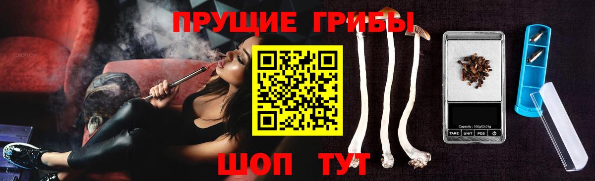 Галлюциногенные грибы Psilocybine cubensis Тосно